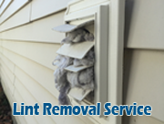 lint removal service